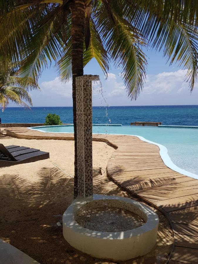 Whispering Seas Oceanfront Suite Ocho Rios Ngoại thất bức ảnh